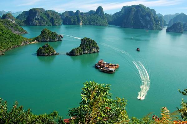 Ha Long Bay Day Cruise with Seafood lunch