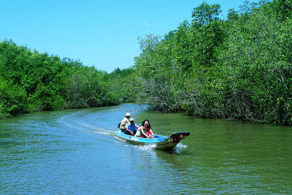 Can Gio Biosphere Reserve Tour by Boat